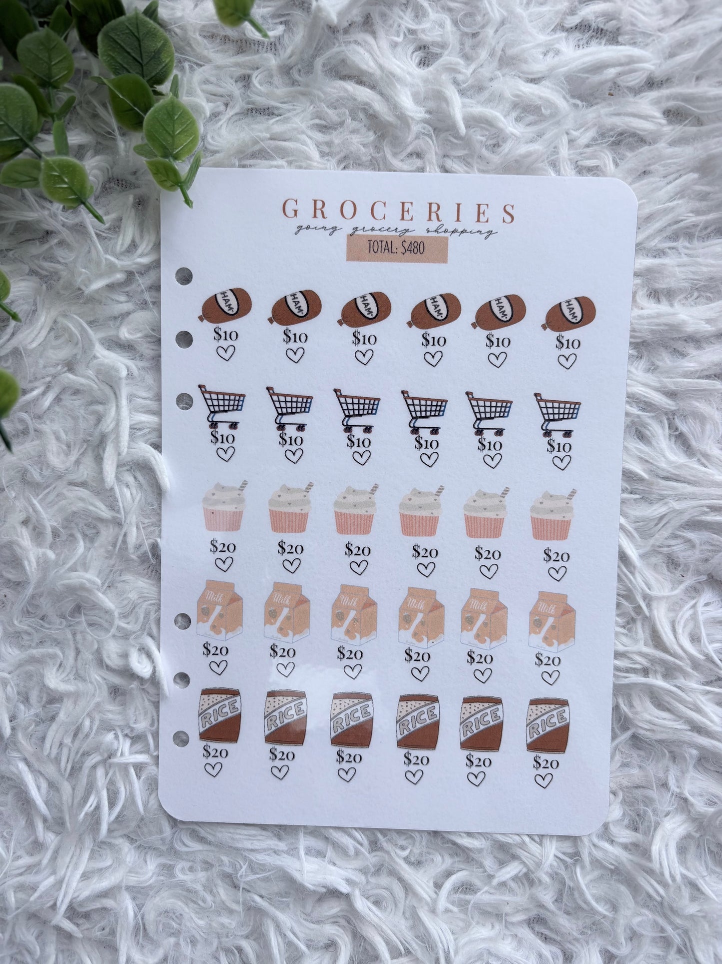 Brown Grocery Saving Challenge