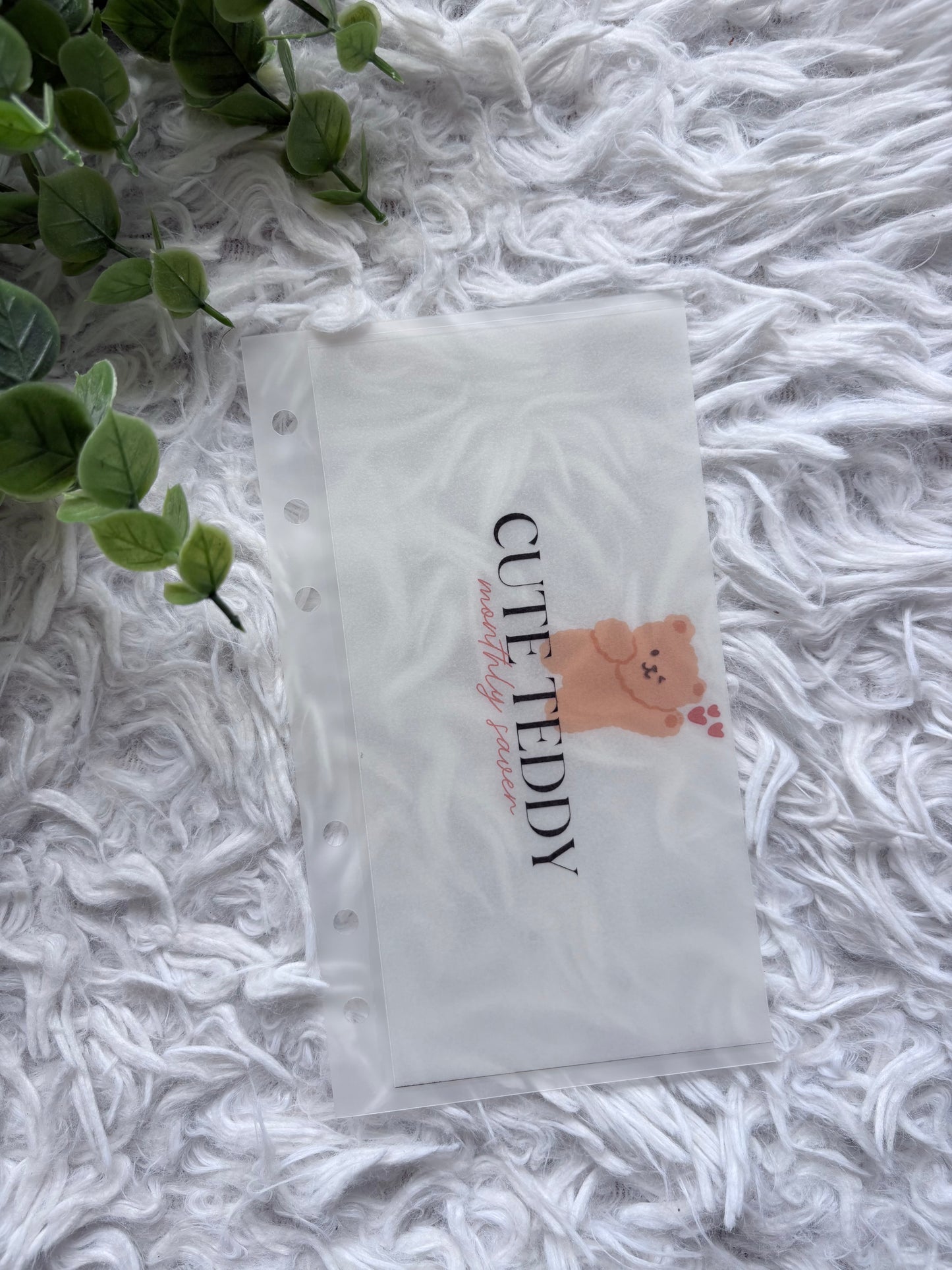 Cute Teddy Monthly Saver