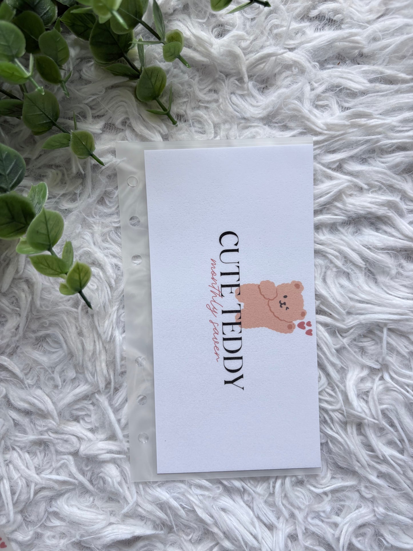 Cute Teddy Monthly Saver