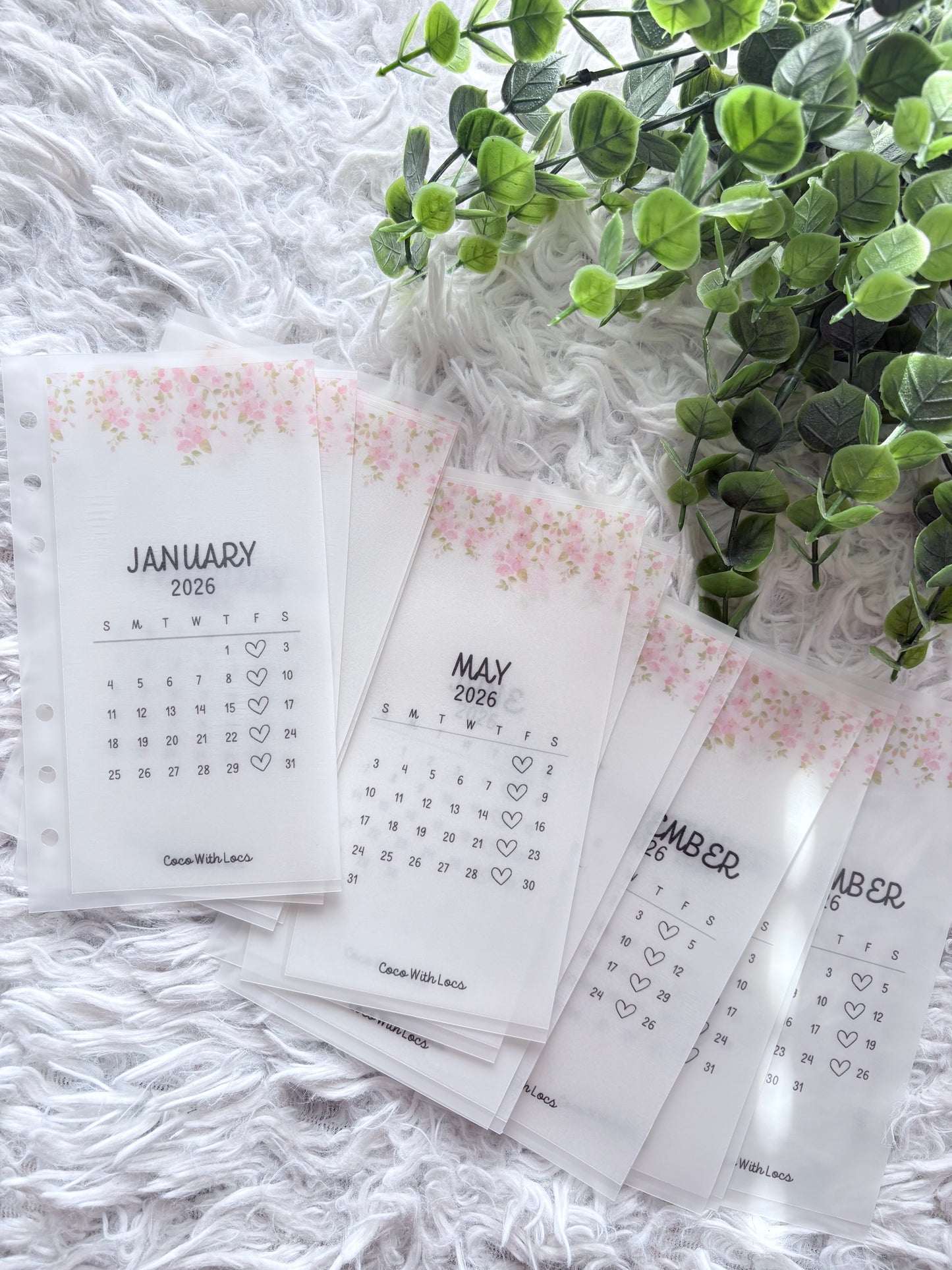 Floral Border Friday Savers